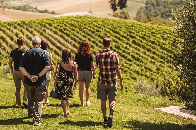 Montalcino: Castle and Vineyards Tour with Tasting - Why the Montalcino setting matters