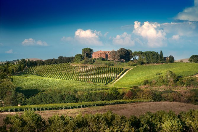 Montalcino: Castle and Vineyards Tour with Tasting - Walking the castle walls and Peruzzi bridge