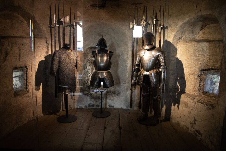 Montreux: Chateau Chillon Entrance Ticket - Timing, Parking, and What to Bring