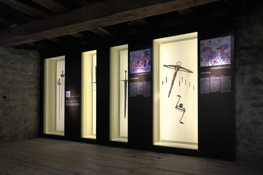 Montreux: Chateau Chillon Entrance Ticket - The Duke’s Rooms and Everyday Court Life