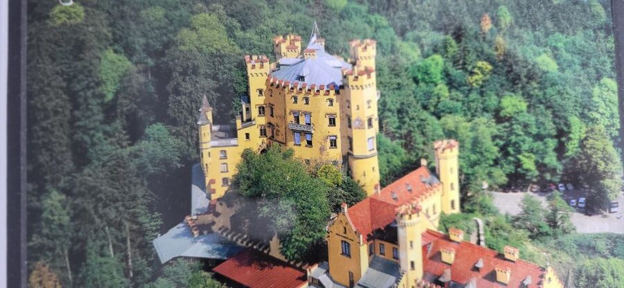 Munich: Half-Day Skip-the-Line Neuschwanstein Castle Tour - Why this half-day castle trip works