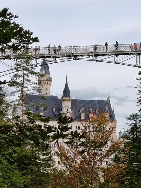 Munich: Neuschwanstein Castle by Bus with Alpine Bike Ride - Lunch with a view of Neuschwanstein