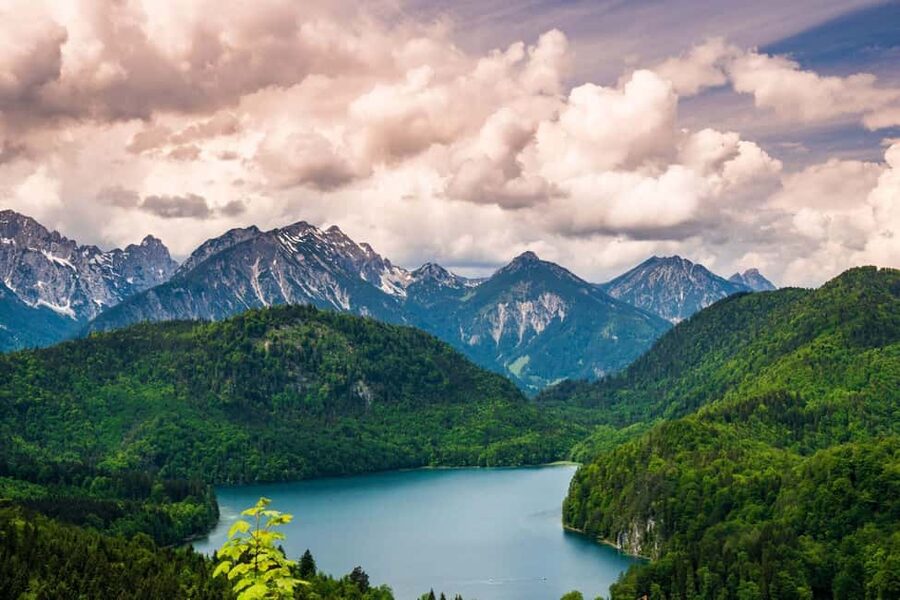Munich: Neuschwanstein Castle Chinese Day Tour - Why this day trip works from Munich