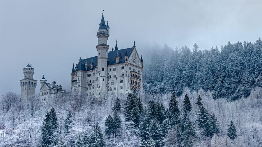 Munich - Neuschwanstein Castle+Linderhof Private Tour - The carriage ride back to Hohenschwangau