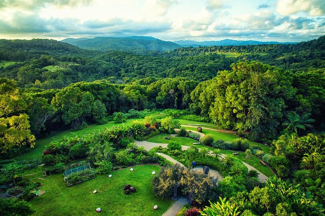 Near Gold Coast: Crystal Castle Admission Ticket - What makes Crystal Castle worth your time
