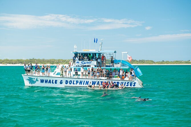 Newcastle: Port Stephens day tour. Dolphins, hike, swim. - Key points to know before booking