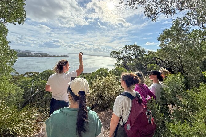 Newcastle: Port Stephens day tour. Dolphins, hike, swim. - Aussie Bob’s makes lunch simple and local