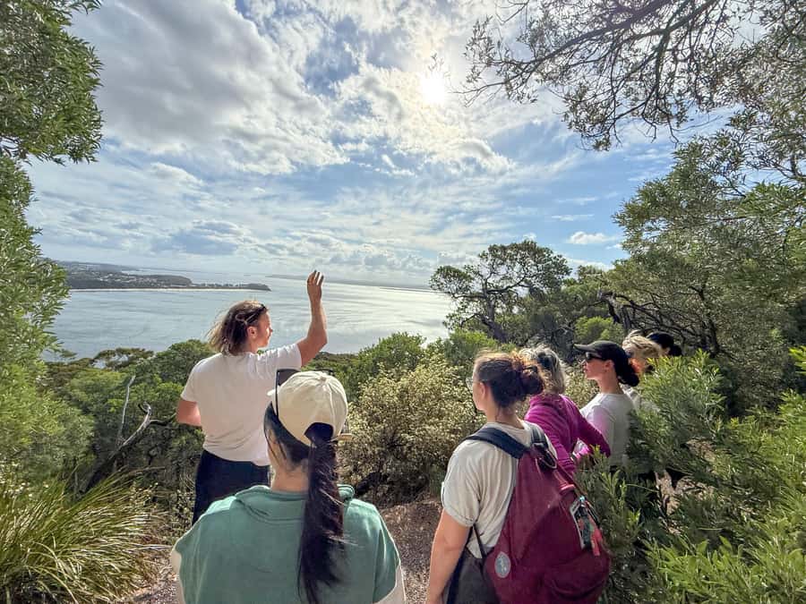 Newcastle: Port Stephens day tour. Dolphins, hike, swim. - What to pack for the full eight hours