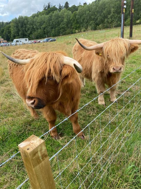 NORTH HIGHLAND TOUR, DUNROBIN CASTLE & MORE FROM INVERGORDON - Dornoch Firth viewpoint and Struie Hill