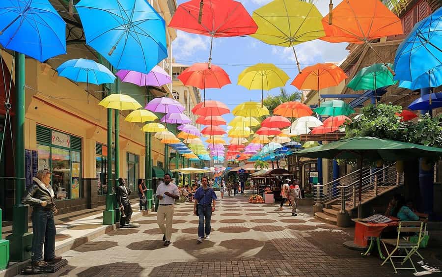 North Tour: Port Louis, Caudan, Citadelle, Botanical Garden - Five useful things to know before you book