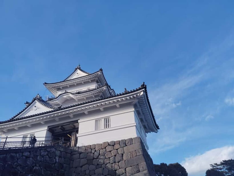 Odawara: Castle Guided Tour with Panoramic Views - Weather, crowds, and physical demands