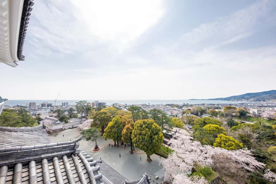 Odawara: Guided Ninja & Samurai Tour of Odawara Castle - Is $116 a fair price?