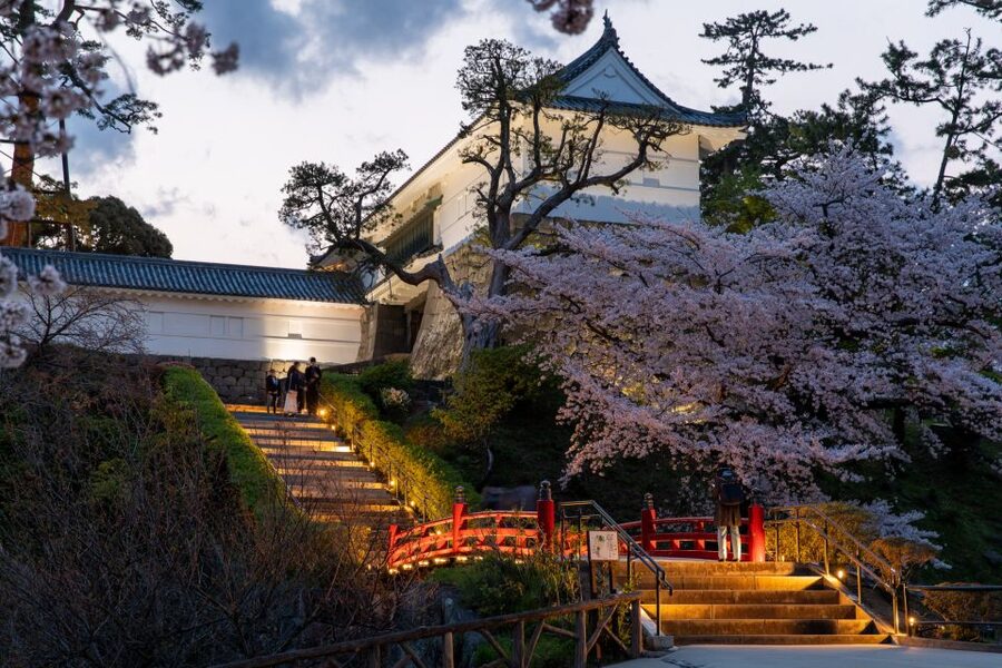 Odawara: Odawara Castle and Town Guided Discovery Tour - The Ninja Museum separates fact from fantasy