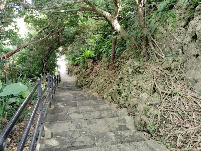 Okinawa: Urasoe Castle, Royal Tomb & War History Walk - What a local guide adds to the experience