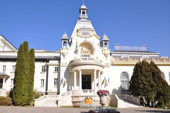 One Day Private Tour to Peles and Dracula Castles & Brasov City - The drive from Bucharest is the real test