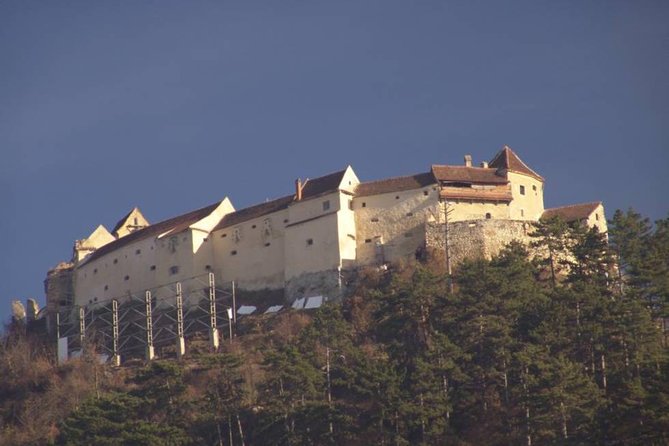 One day trip Bear Sanctuary Dracula Castel and Rasnov Fortress from Brasov - Who will enjoy this trip most