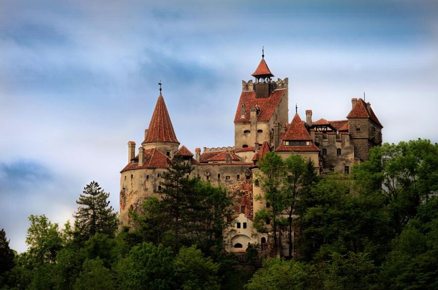 One day trip Bear Sanctuary, Dracula Castle - What the $47 price really covers