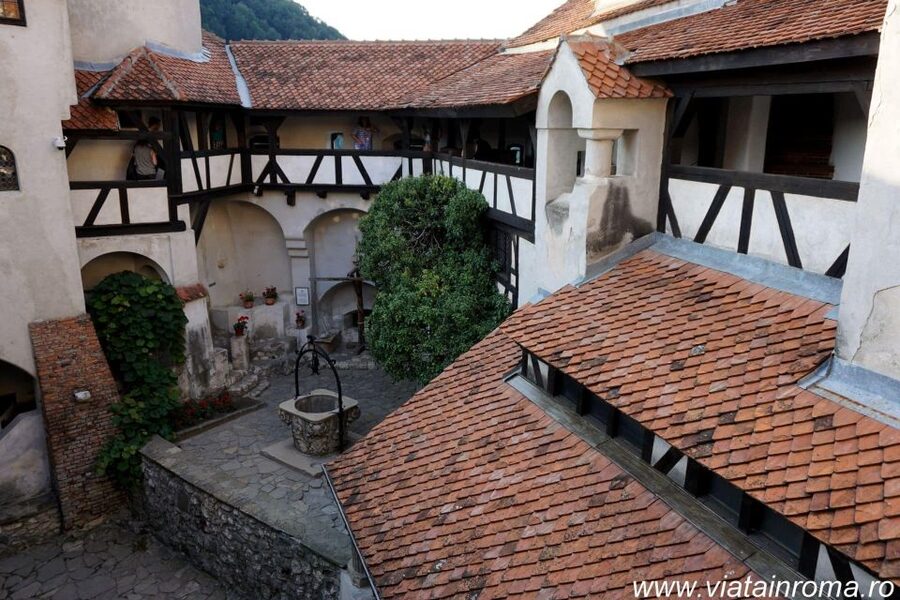 One day trip Bear Sanctuary, Dracula Castle - Who will enjoy this experience most