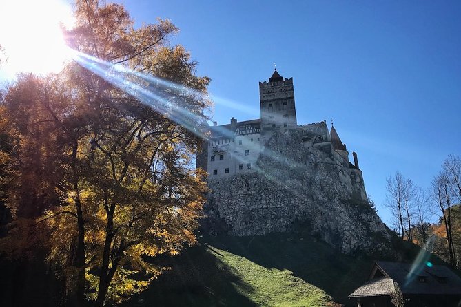 One day trip Bear Sanctuary, Dracula Castle, Rasnov Fortress from Brasov - What to bring and how to plan the day