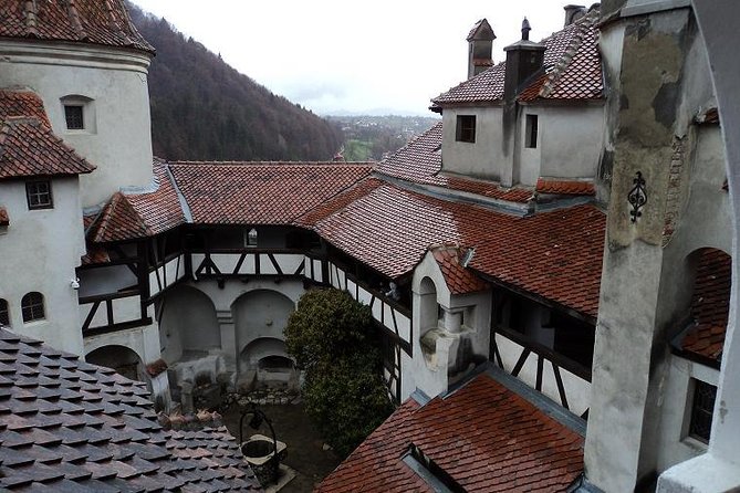 One day trip Bear Sanctuary, Dracula Castle, Rasnov Fortress from Brasov - Who should book this excursion?