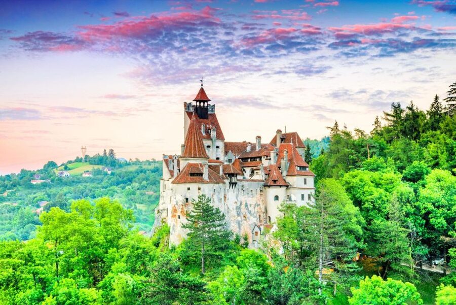 One day trip Bear Sanctuary, Dracula Castle - Watching bears at Libearty Bear Sanctuary in Zărnești