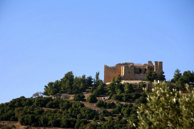 One Day Trip to Jerash & Ajloun Castle - What the private format really gives you