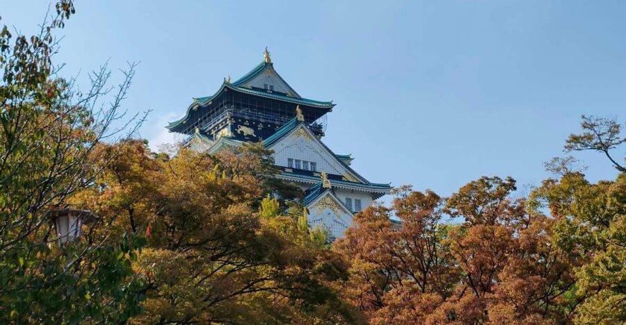 Osaka: Half-day Ultimate Highlights Guided Walking Tour - Key points at a glance