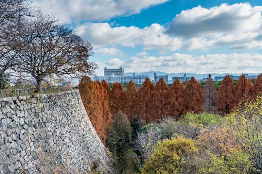 Osaka: Osaka Castle 3 hours Historical Walking Tour - Osaka Castle Museum and the Toyotomi Hideyoshi story