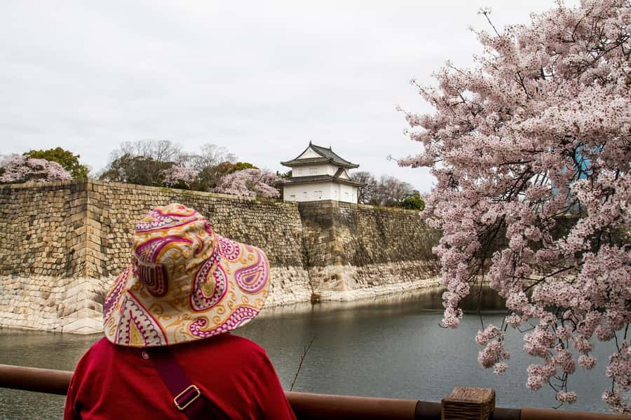 Osaka: Osaka Castle 3 hours Historical Walking Tour - Osaka Castle Park and Miraiza Osaka
