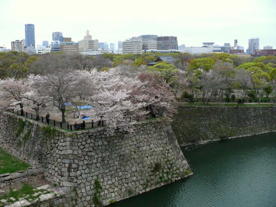 Osaka: Osaka Castle 3 hours Historical Walking Tour - The $30 price and the extra museum fee