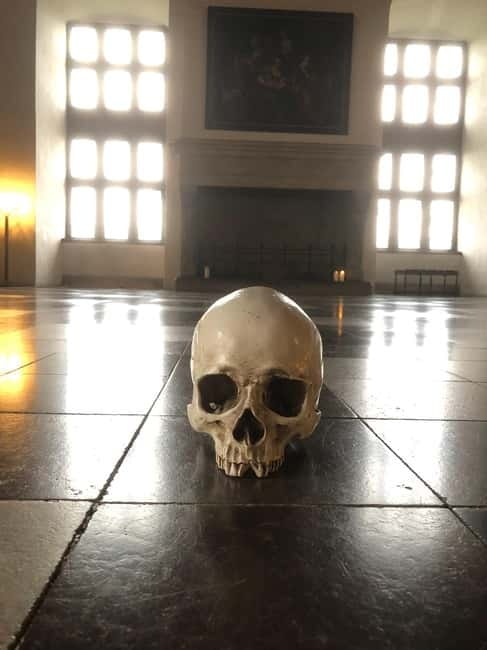 Out of Copenhagen; 2x Castles, Cathedral & (Viking Ships) - Kronborg Castle and Shakespeare’s Hamlet