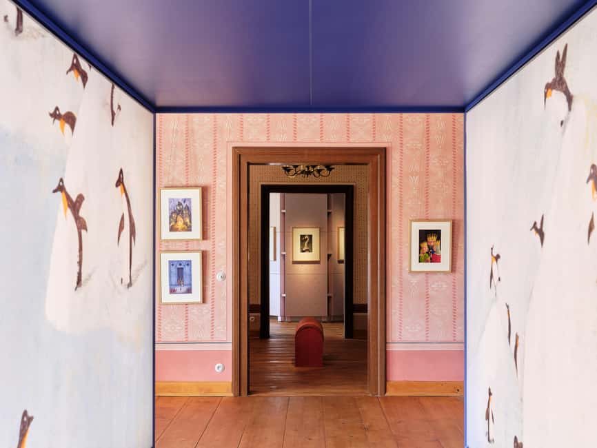 Palace of ilustration – Entry Ticket (Český Krumlov Castle) - Pictures that handle death, drugs, and environmental protection