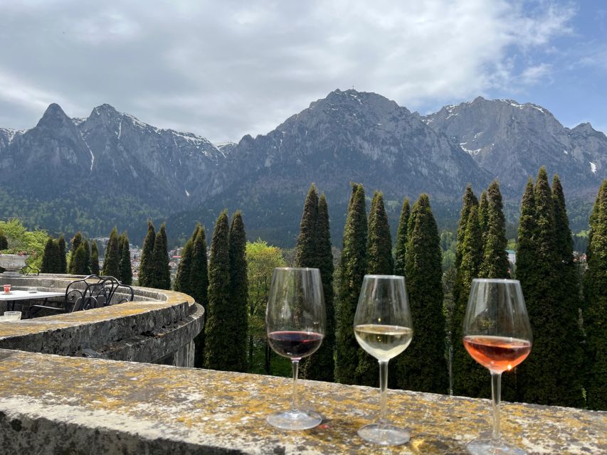 Peles & Cantacuzino Castles: Gourmet Wine & Cultural trip - What the $322 price includes