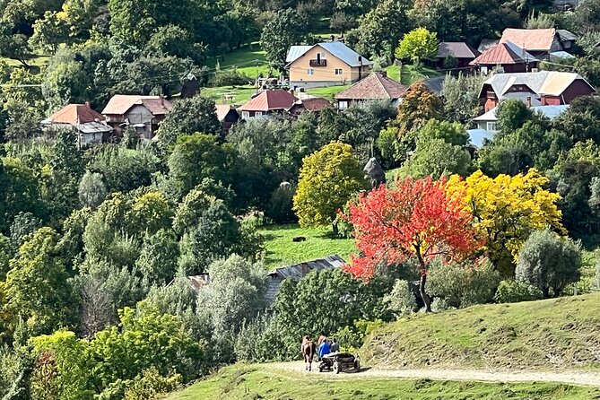 Peles castle and authentic Romanian village experience - day trip - Five hours in Secaria village