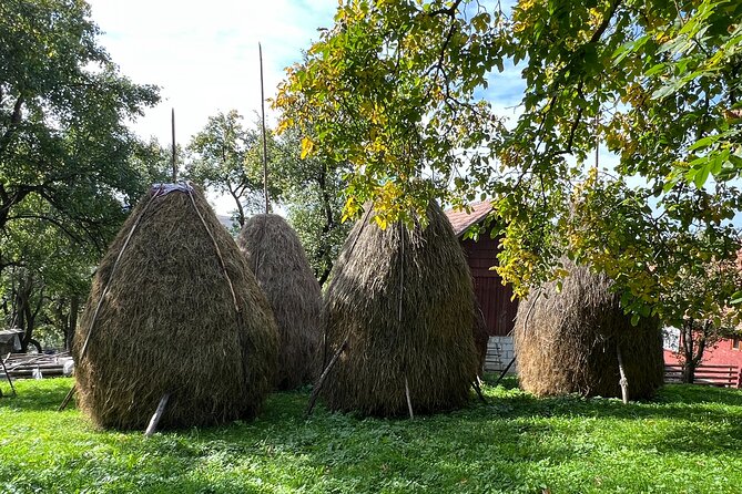 Peles castle and authentic Romanian village experience - day trip - Paltinu Reservoir and the ride home