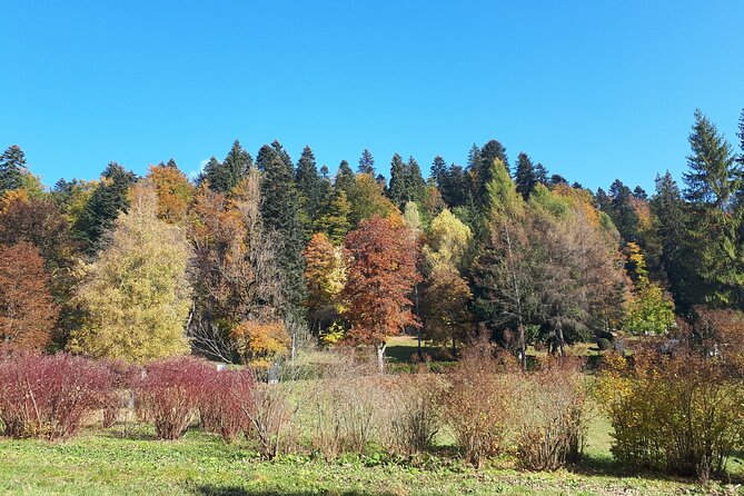 Peles Castle and optional Cantacuzino Castle from Brasov - Sinaia Monastery and Its Two Churches