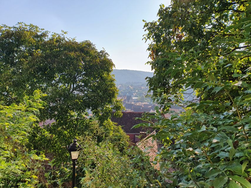 Peleș Castle, Bran Castles and Brasov City - Private Tour - Brașov: Gothic streets, Baroque details, and mountain views