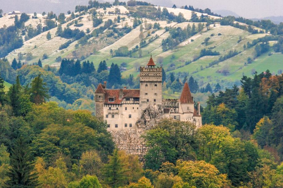 Peles, Dracula's Castles & Brasov: Private Day Trip & Pickup - Who should book this experience