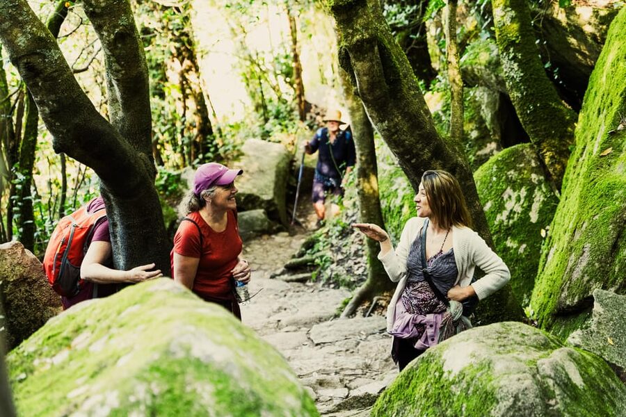 Pena Palace, Moorish Castle,Quinta ad Regaleira:Walking tour - Returning through Sintra National Palace