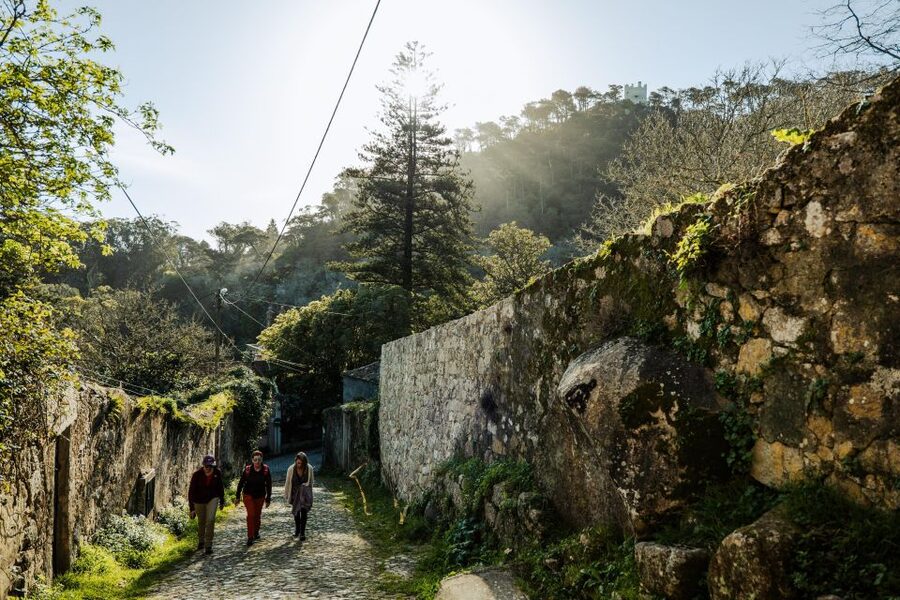Pena Palace, Moorish Castle,Quinta ad Regaleira:Walking tour - Sintra’s historic center, about one hour