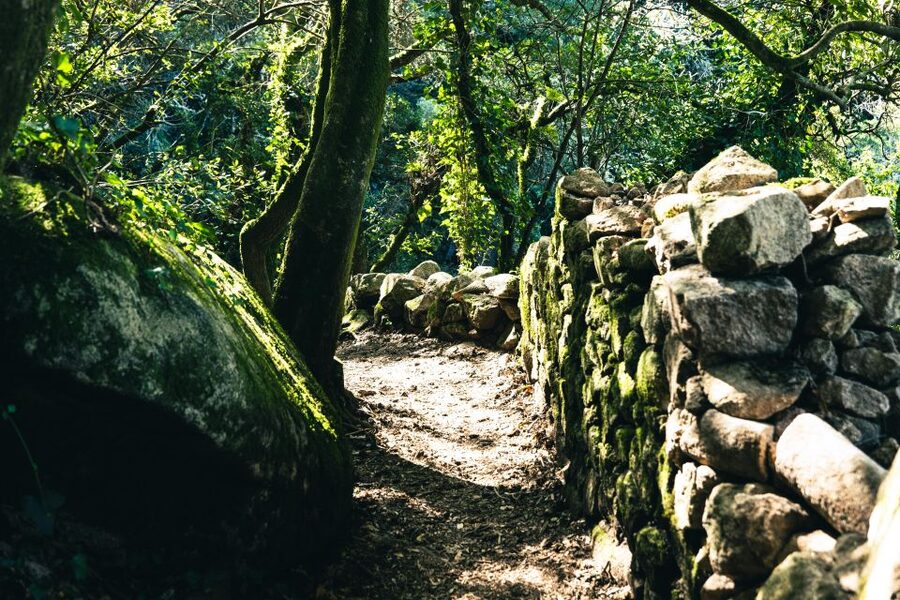 Pena Palace, Moorish Castle,Quinta ad Regaleira:Walking tour - Quinta da Regaleira and its symbols