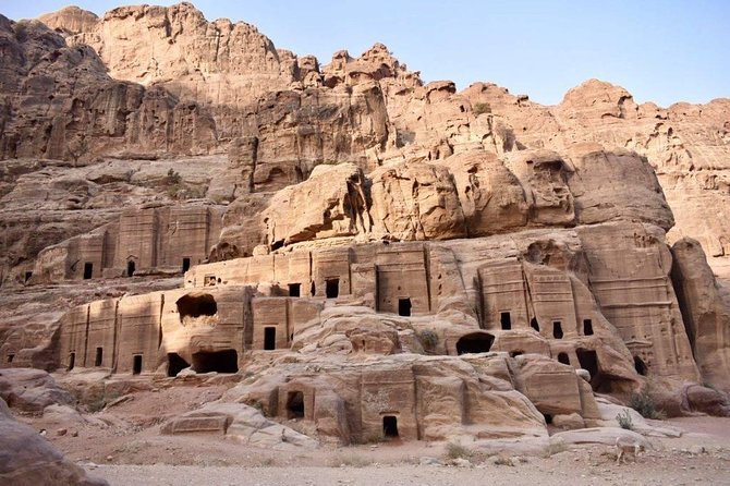 Petra, Little Petra and Shobak Castle - Private Tour From Amman - Guide or independent exploring?