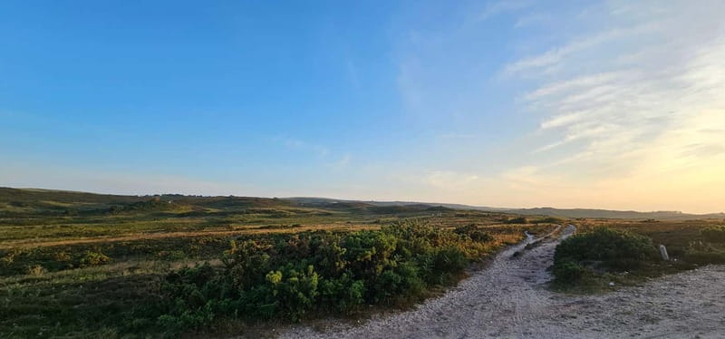 Poole: Old Harry Rocks and Corfé Castle Guided E-bike Tour - Studland Beach and the nature reserve
