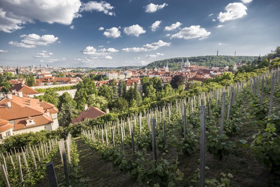 Prague: 3–Hour Castle Grounds Walking Tour and River Cruise - Key points to know before booking