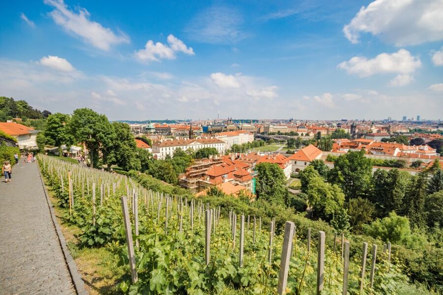 Prague Castle 2.5-Hour Tour Including Admission Ticket - The tram ride saves your legs, but not all of them