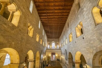 Castle Tour with Local Guide and Entry Ticket