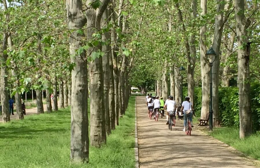 Prague: Stunning Viewpoints, Castle, City & Park E-Bike Tour - Why an e-bike works well in Prague