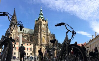 Stunning Viewpoints, Castle, City & Park E-Bike Tour