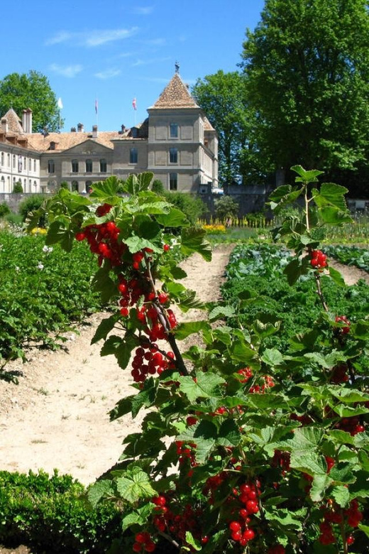 Prangins, Lake Geneva: Château de Prangins Entry Ticket - The kitchen garden is not an afterthought