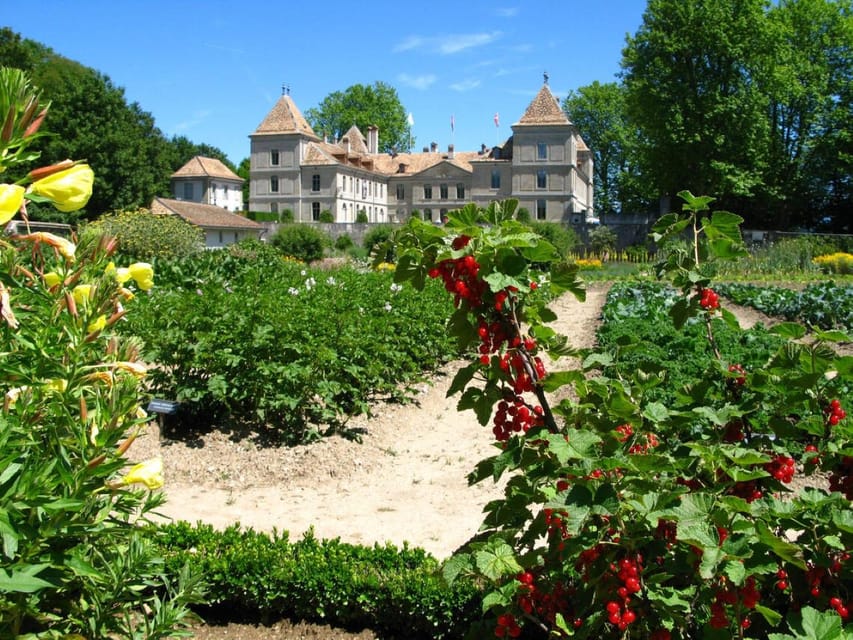 Prangins, Lake Geneva: Château de Prangins Entry Ticket - Who will enjoy this visit most